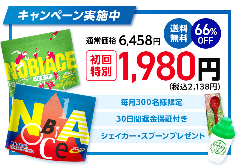 通常価格6,458円→66%OFF 初回特別1,980円（税込2,138円） 毎月300名様限定 初回30日間返金保証付き